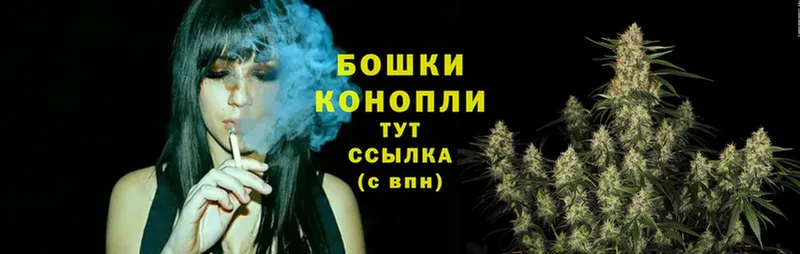 Каннабис OG Kush  Малаховка 